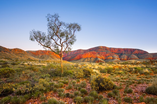 Alice Springs-2