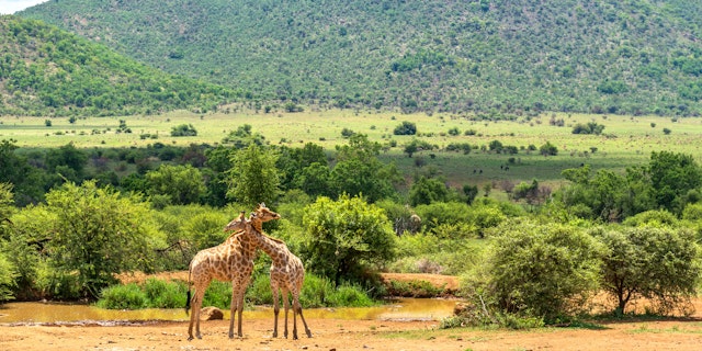 Voyage Afrique du Sud et Botswana : Safari et Chutes Victoria