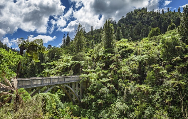 Whanganui National Park-0