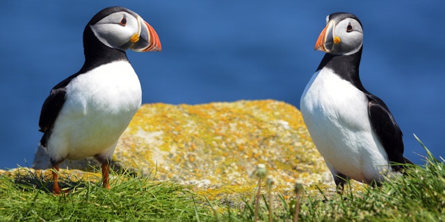 Circuit en Nouvelle-Écosse