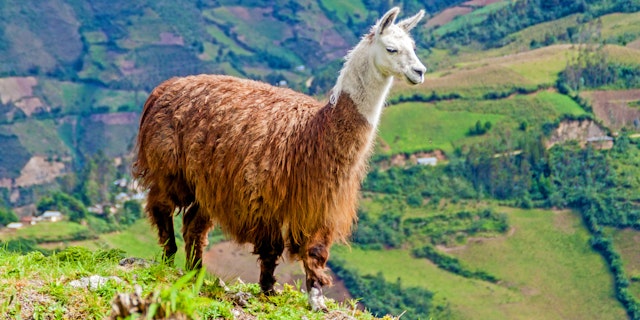Chachapoyas-2