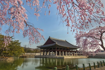 Südkorea Rundreise 2 Wochen: Höhepunkte des Landes - Image 2