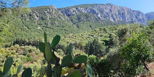 Oliena-4