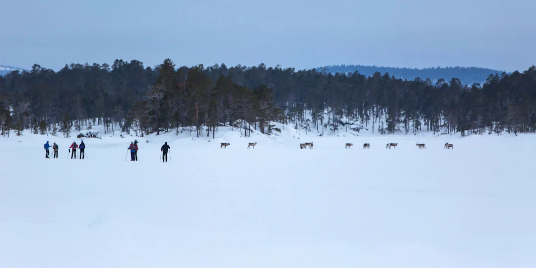 Nordlichter Rundreise Lappland: 7 Tage Inari und Saariselkä mit dem Mietwagen