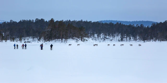 Inari-1