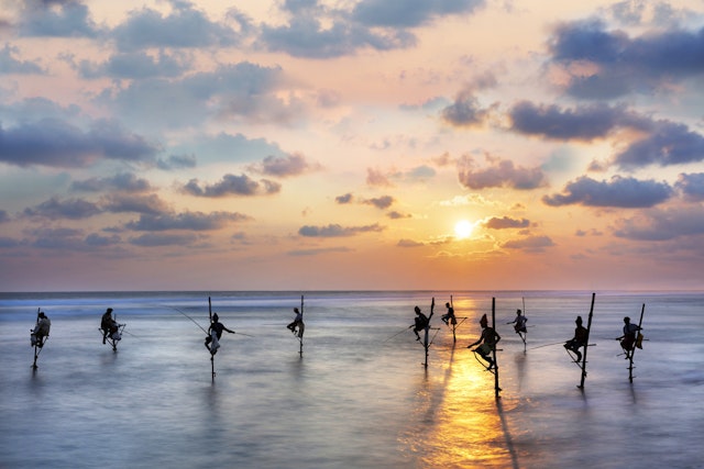 Galle-4