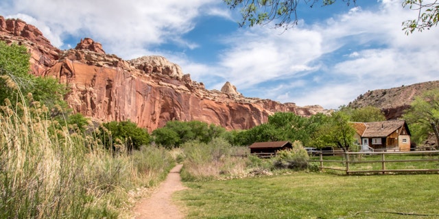Fruita Campground