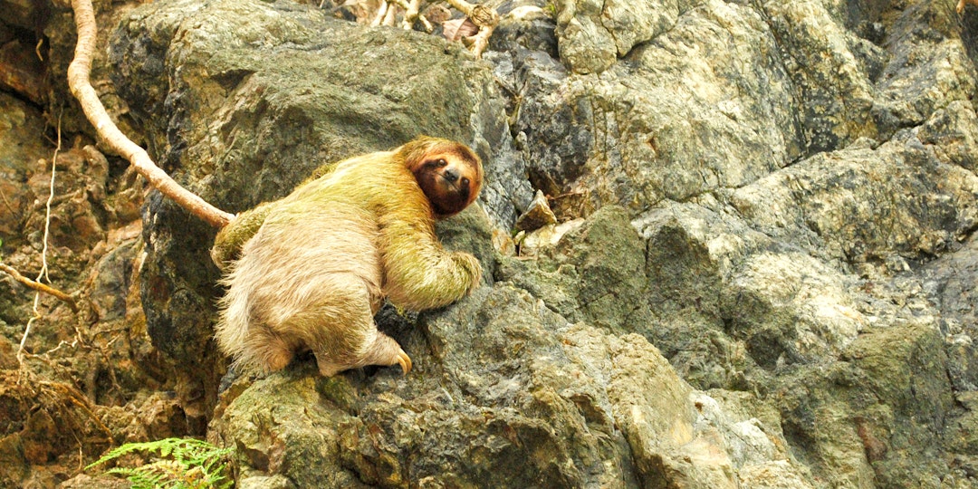 Galapagos: Strände, Wildlife und Inselhopping