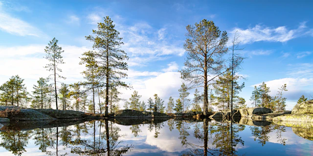 Skelleftea-1
