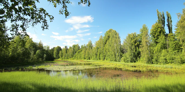 Skelleftea-3