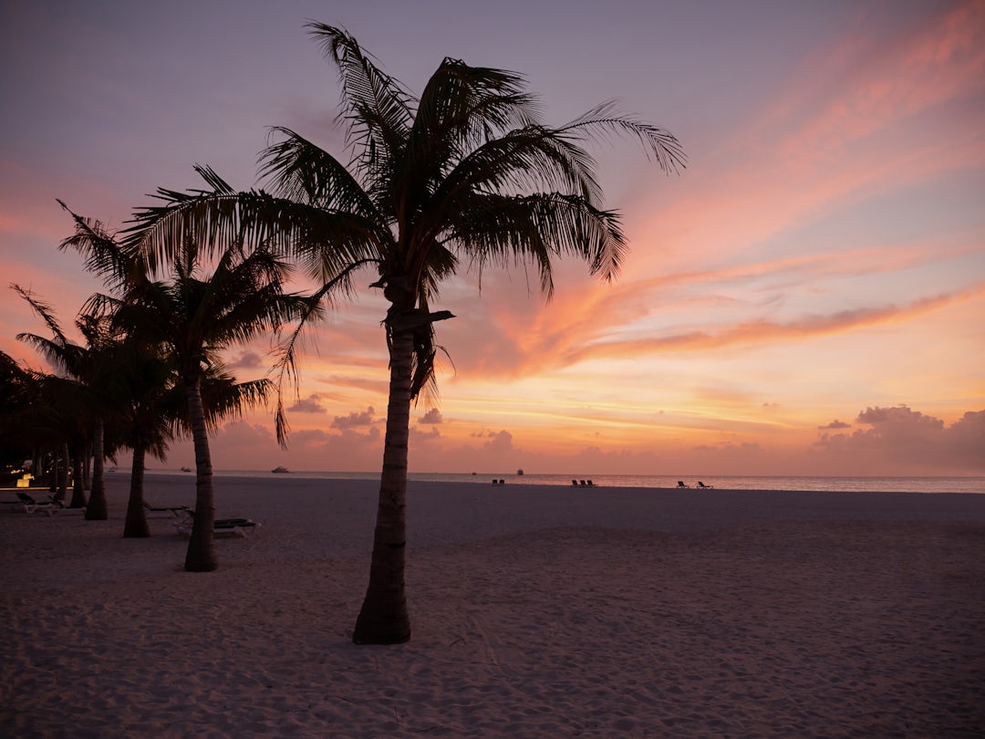 Séjour aux Maldives : Meeru Island