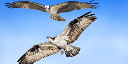 Baja California Rundreise - Image 3