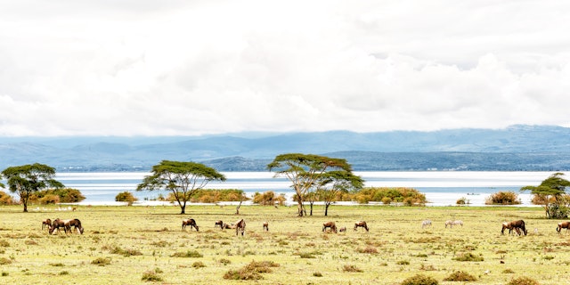 Lake Naivasha-0
