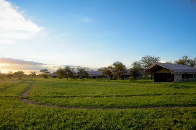 ThornTree Camp