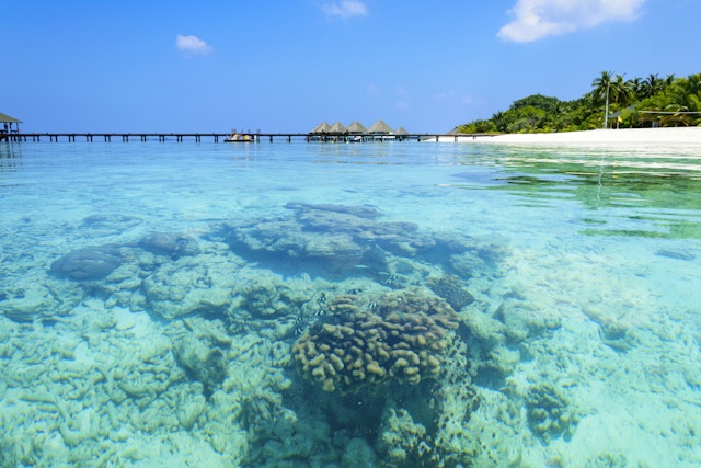 Dhaalu Atoll-0