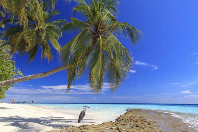 Dhaalu Atoll-2