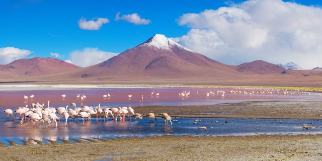 Uyuni-0