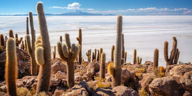 Uyuni-2