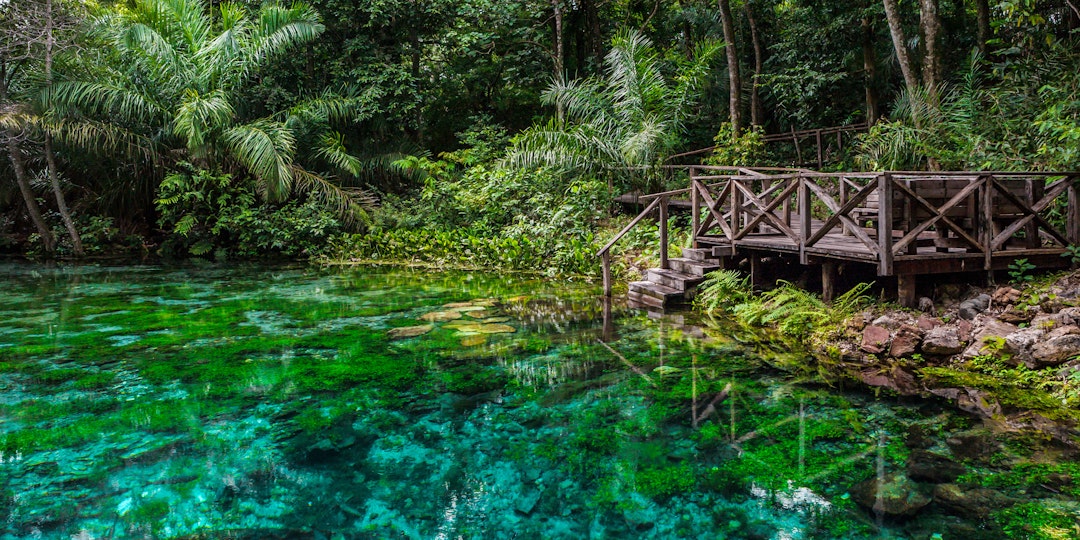 Iguazú-Wasserfälle & Pantanal: 2-Wochen Brasilien-Tour