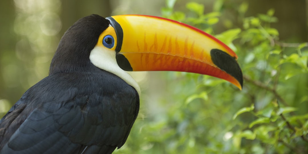 Voyage en famille de Rio à Salvador pour 18 jours