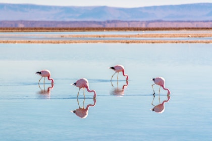 10 jours au Chili - Image 3