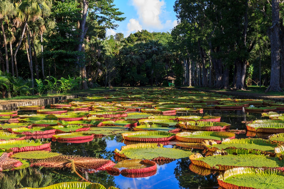 Séjour luxe à l'île Maurice