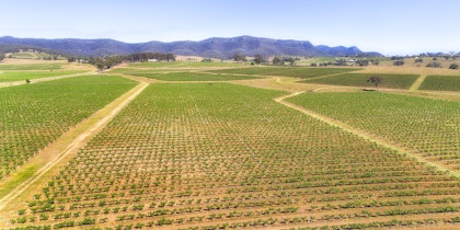 Autotour sur la côte est de l'Australie - Image 4