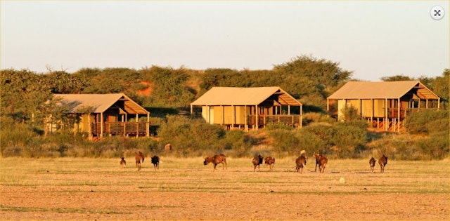 Suricate Tented Kalahari Lodge