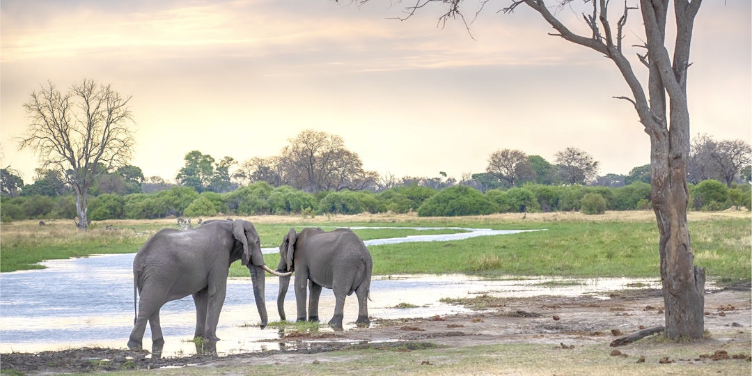 Familienreise in Botswana