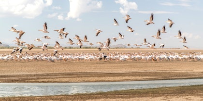 Circuit en Tanzanie de 2 semaines - Image 4