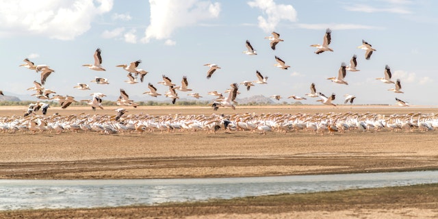 Circuit en Tanzanie de 2 semaines