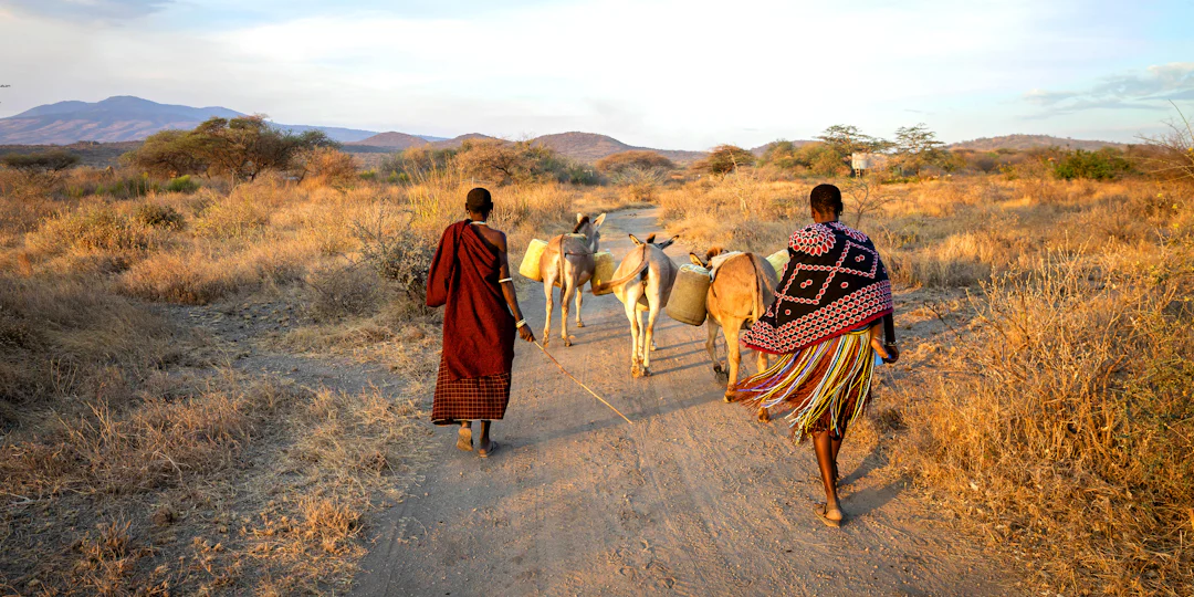 Safari de luxe en Tanzanie