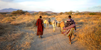 Safari de luxe en Tanzanie - Image 4