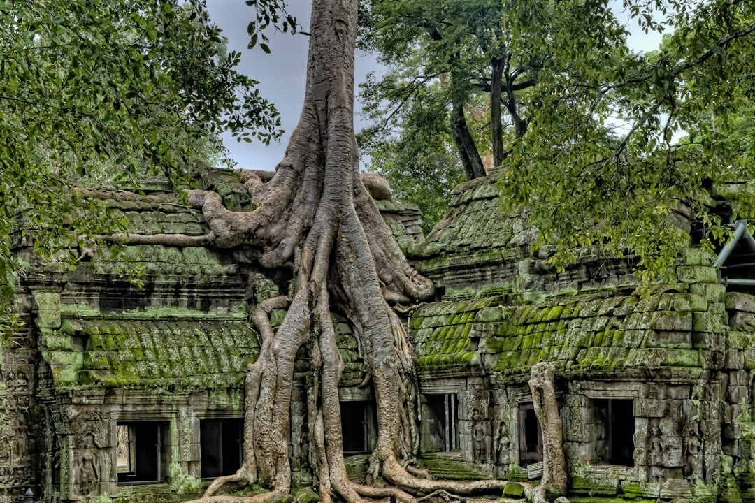 Reiseroute Kambodscha: in 1 Woche quer durchs Land