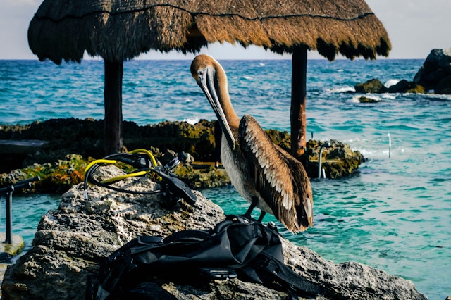 Cancún-3