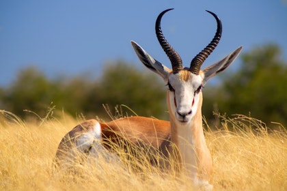 Autotour en Namibie - Image 3