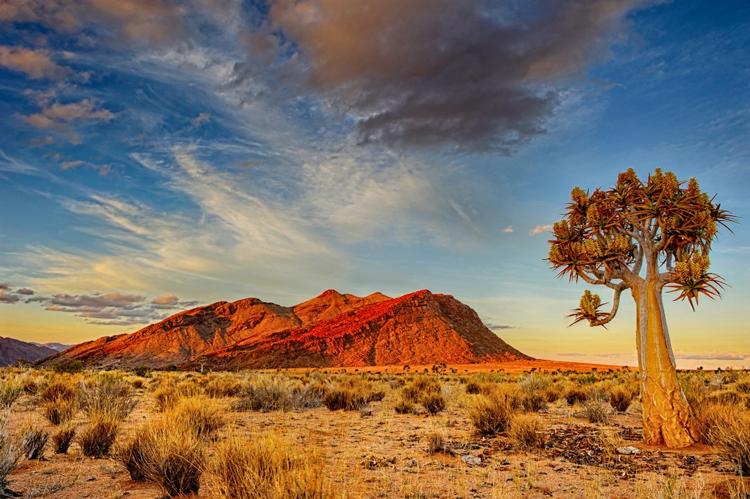 Namibia Tour mit Etosha National Park Safari