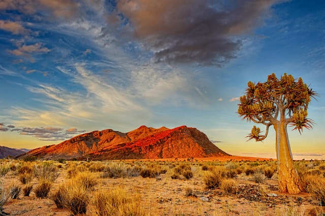 Kalahari Namibia-0