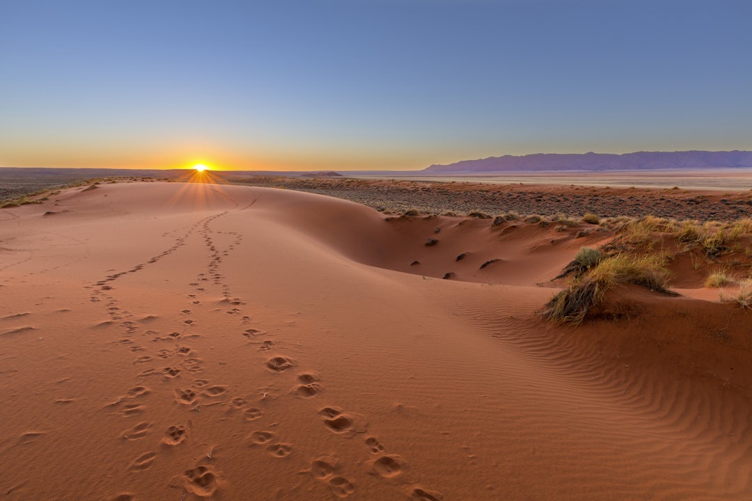 Private Safari in Namibia: wilde & unendliche Horizonte 