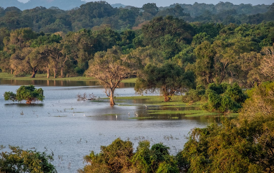Sri Lanka Trekking & Natur Urlaub