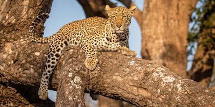 Voyage combiné Afrique du Sud et Seychelles - Image 4