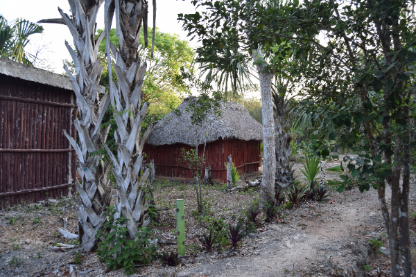 Cabane locale à Chunhuhub
