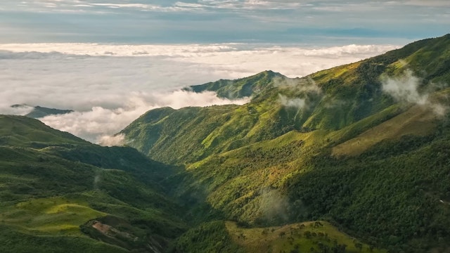 Réserve de la forêt nuageuse de Bellavista-0