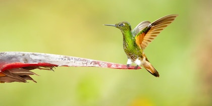 Voyage aventure en Équateur - Image 4