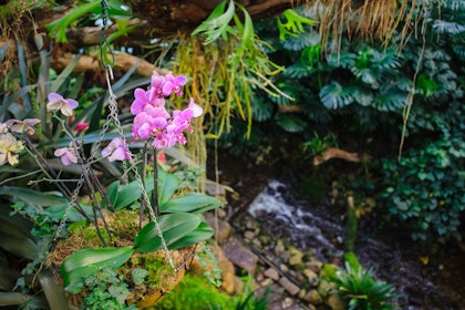 Galapagos Insel-Hopping in Ecuador - Image 4