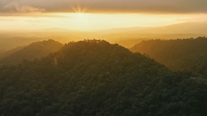 Circuit en Équateur et aux Galapagos - Image 4