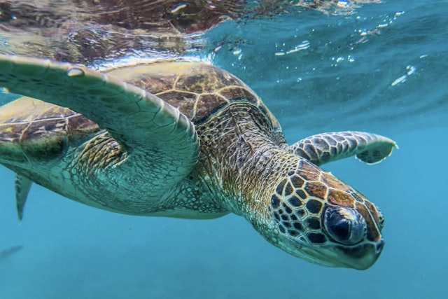 Majestätischer Wüstenzauber: 10 Tage im Oman