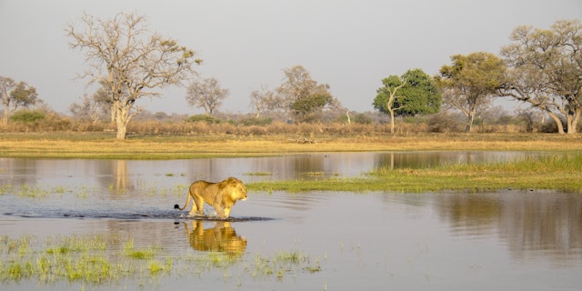 Okavango-1