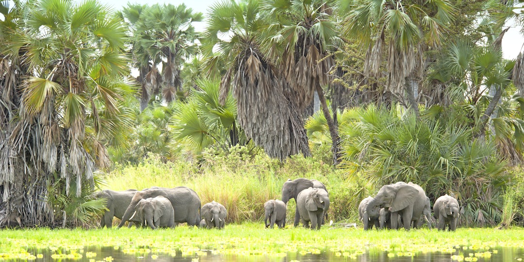 La Tanzanie, entre plage et safari