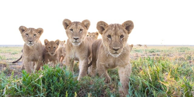 Nyerere National Park-2
